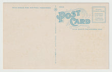 Load image into Gallery viewer, Lake Water Falls, Natural Bridge, Virginia, USA Vintage Original Postcard # 1662 - New 1920's
