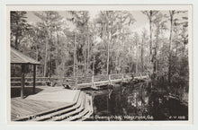 Load image into Gallery viewer, Okefenokee Swamp Park, Waycross, Georgia, USA Vintage Original Postcard # 1682 - New- 1950's Real Photograph
