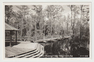 Okefenokee Swamp Park, Waycross, Georgia, USA Vintage Original Postcard # 1682 - New- 1950's Real Photograph