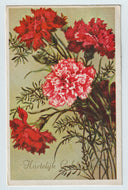 Congratulations - Hartelijk Gefeliciteerd Vintage Original Postcard # 1691 - Post Marked 1960's