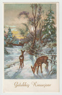 Happy New Year - Gelukkig Nieuwjaar Vintage Original Postcard # 1698 - Post Marked December 30, 1961