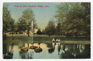 State Hospital (Scenic Pond), Toledo, Ohio, USA Vintage Original Postcard # 1710 - Post Marked February 10, 1913