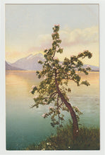 Load image into Gallery viewer, Scenic Lakeview in Switzerland - Art - Painting - Vintage Original Postcard # 1723 - New - 1950's
