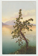 Scenic Lakeview in Switzerland - Art - Painting - Vintage Original Postcard # 1723 - New - 1950's