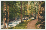 Pathway by the River in Switzerland - Art - Painting - Vintage Original Postcard # 1729 - New - 1950's