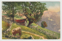 Load image into Gallery viewer, Hill-Side Scenic View in Switzerland - Art - Painting - Vintage Original Postcard # 1731 - New - 1950's
