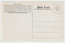 Load image into Gallery viewer, Ohio Caverns, West Liberty, Ohio, USA Vintage Original Postcard # 1743 - New - 1940's

