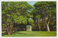 DeSoto National Memorial, Bradenton, Florida, USA (US Department of the Interior National Park Service) Vintage Original Postcard # 1752 - New - 1970's