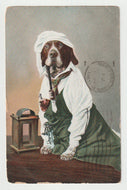 Greeting - Dressed Up Dog - Vintage Original Postcard # 1809 - Post Marked 1967