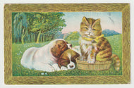 Greetings - Cute Dogs and Cat - Vintage Original Postcard # 1811 - Post Marked August 11, 1909