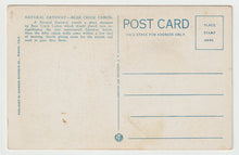 Load image into Gallery viewer, Bear Creek Canon, Denver Mountain Parks, Colorado, USA Vintage Original Postcard # 1838 - New - 1950&#39;s
