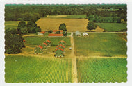Greetings from Simcoe, Ontario, Canada (Tobacco Farm) - Vintage Original Postcard # 1904 - Hand Written - July 1968 - VG