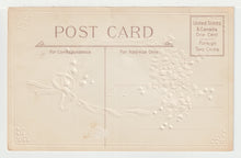 Load image into Gallery viewer, Birthday Greetings - Vintage Original Postcard # 1912 - New - Early 1900's - NM
