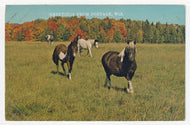 Greetings from Portage, Wisconsin, USA - Vintage Original Postcard # 1939 - Post Marked July 31, 1980 - VG
