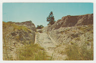 Oregon Trail Ruts, Wyoming USA - Vintage Original Postcard # 1999 - New - 1960's - NM