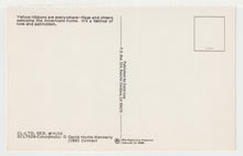 Load image into Gallery viewer, Welcome Home - Yellow Ribbons, USA - Vintage Original Postcard # 2002 - New, 1980's - NM
