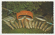 A Fisherman's Dream, Quebec, Canada Vintage Original Postcard # 2043 - Post Marked October 12, 1983