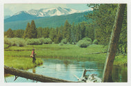 Miner's Creek, Jackson, Montana, USA Vintage Original Postcard # 2057 - New - 1970's - Mint
