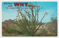 Greeting from WHY, Arizona, USA (Ocotillo Flowers) Vintage Original Postcard # 2059 - Post Marked May 20, 1969 - VG