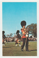 Changing of the Guard - Parliament Hill, Ottawa, Ontario, Canada Vintage Original Postcard # 2073 - New - 1970's - Mint