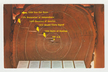 Load image into Gallery viewer, Muir Woods National Monument, Mill Valley, California, USA - Vintage Original Postcard # 2080 - New - 1960's - NM
