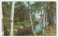 Greetings from Maine - Vacationland, USA Vintage Original Postcard # 2115 - New - 1960's - VG