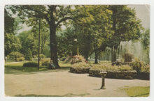 Load image into Gallery viewer, Washington Street Park, Sandusky, Ohio, USA Vintage Original Postcard # 2117 - New - 1960's
