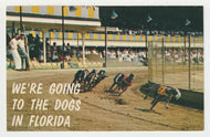 Hollywood Kennel Club, Florida, USA Vintage Original Postcard # 2126 - New - 1960's - NM