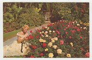 Cypress Gardens, Winter Haven, Florida, USA Vintage Original Postcard # 2126 - New - 1960's - NM