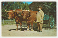 Farmer with Oxen, Old Sturbridge Village, Massachusetts, USA Vintage Original Postcard # 2157 - New - 1960's - NM