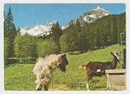 Gauertal Alpine Park, Montafon, Vorarlberg, Austria Vintage Original Postcard # 2197 - Post Marked June 6, 1978 - VG