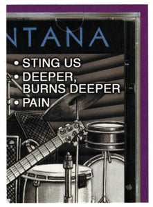 Puzzle # 4: Careless Suntana - (Trading Card) Silly CD's - 2001 Silly Productions Piece # 4A - Mint