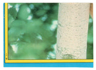 Puzzle, Right row 1 (Trading Card) - Supergirl - 1984 Topps # 39 - Mint