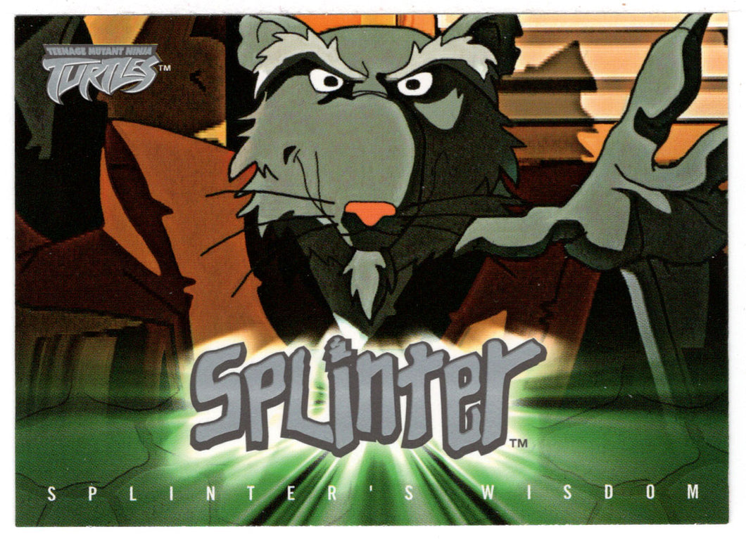 Splinter's Wisdom # 7: You Must See Both Sides (Trading Card) Teenage Mutant Ninja Turtles - 2003 Fleer # 7 - Mint