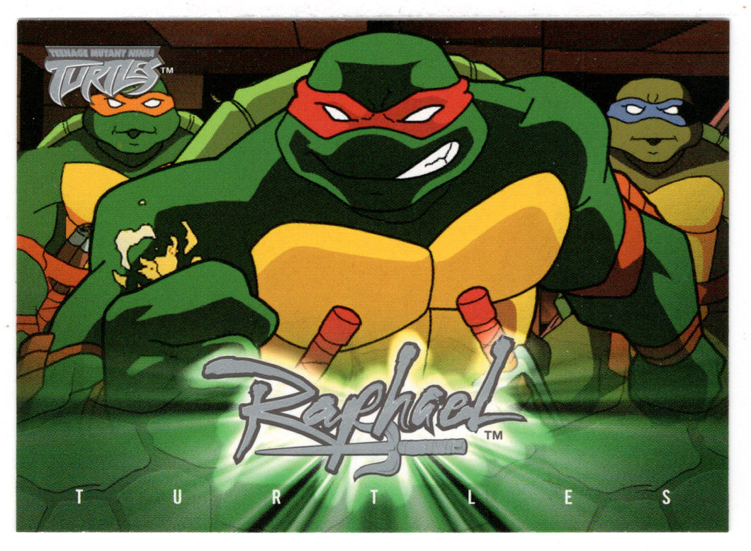 Raphael Weaknesses (Trading Card) Teenage Mutant Ninja Turtles - 2003 Fleer # 30 - Mint