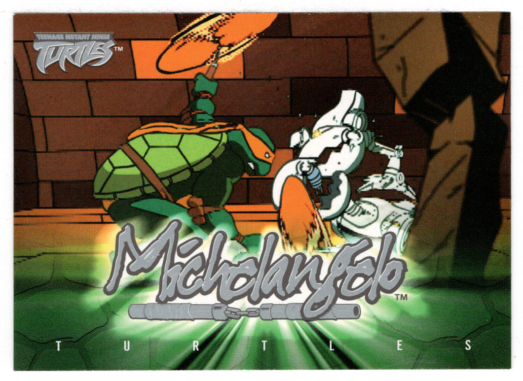 Michelangelo Turtle-ism: 