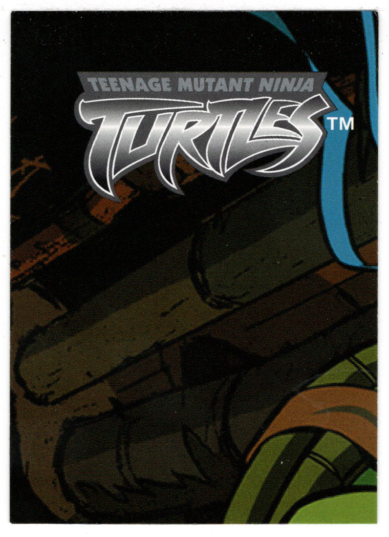 Puzzle D - Piece 3 (Trading Card) Teenage Mutant Ninja Turtles - 2003 Fleer # 114 - Mint