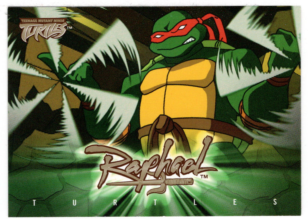 Raphael Character Overview - GOLD EDITION (Trading Card) Teenage Mutant Ninja Turtles - 2003 Fleer # 26 - Mint