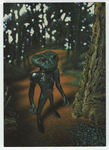 Portrait of an Extraterrestrial (Trading Card) Tim White Fantasy - 1994 FPG # 19 - Mint