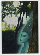 Spirit in the Wood (Trading Card) Tim White Fantasy - 1994 FPG # 27 - Mint