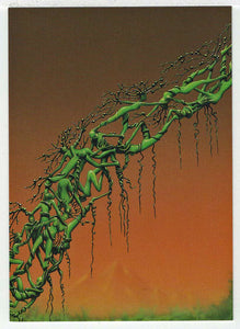 Greenworld (Trading Card) Tim White Fantasy - 1994 FPG # 43 - Mint