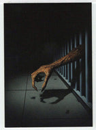 Moreau's Other Island (Trading Card) Tim White Fantasy - 1994 FPG # 69 - Mint