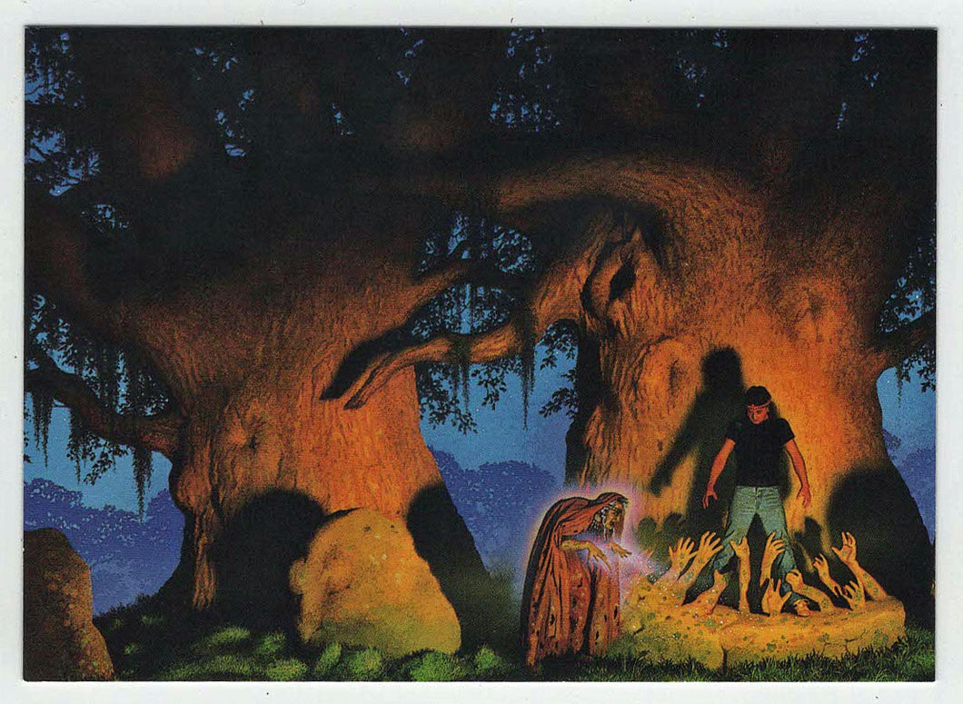 Stoneskin's Revenge (Trading Card) Tim White Fantasy - 1994 FPG # 81 - Mint