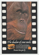 Kodak Film & Camera's - Vintage Ad - (The Shadow of Your Smile) # 1042 - 1980's