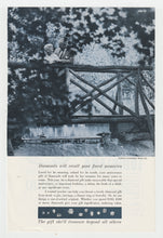 Load image into Gallery viewer, De Beers Jewellery &amp; Diamonds - Vintage Ad - (De Beers Consolidated Mines) - # 1076 - 1960's
