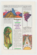 Panagra Airlines - Vintage Ad - (The Charms of South America) - # 1093 - 1960's