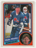 Blake Wesley - Quebec Nordiques (NHL Hockey Card) 1984-85 O-Pee-Chee # 294 VG-NM
