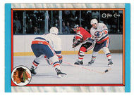 Chicago Blackhawks Team Stat Card (NHL Hockey Card) 1989-90 O-Pee-Chee # 301 Mint