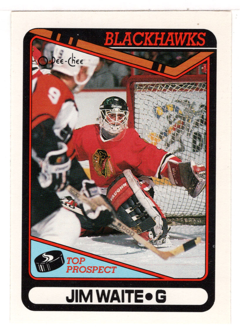 Jimmy Waite RC - Chicago Blackhawks (NHL Hockey Card) 1990-91 O-Pee-Chee # 214 Mint