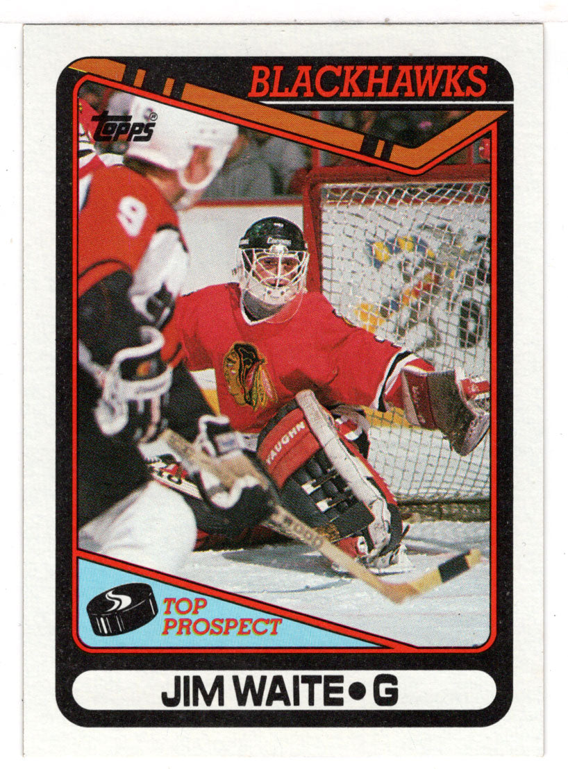 Jimmy Waite RC - Chicago Blackhawks (NHL Hockey Card) 1990-91 Topps # 214 Mint